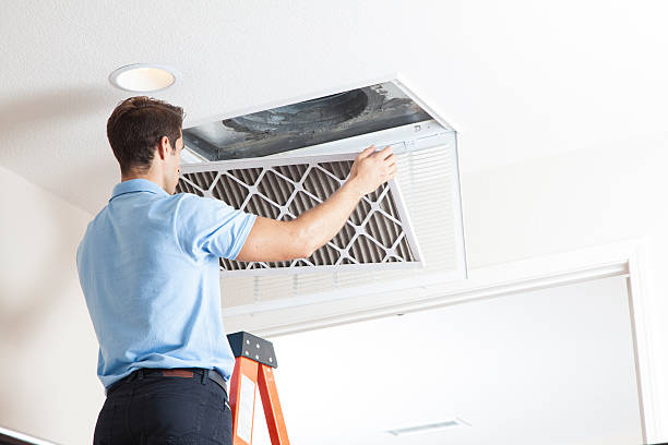 Best HVAC air duct cleaning  in Third Lake, IL